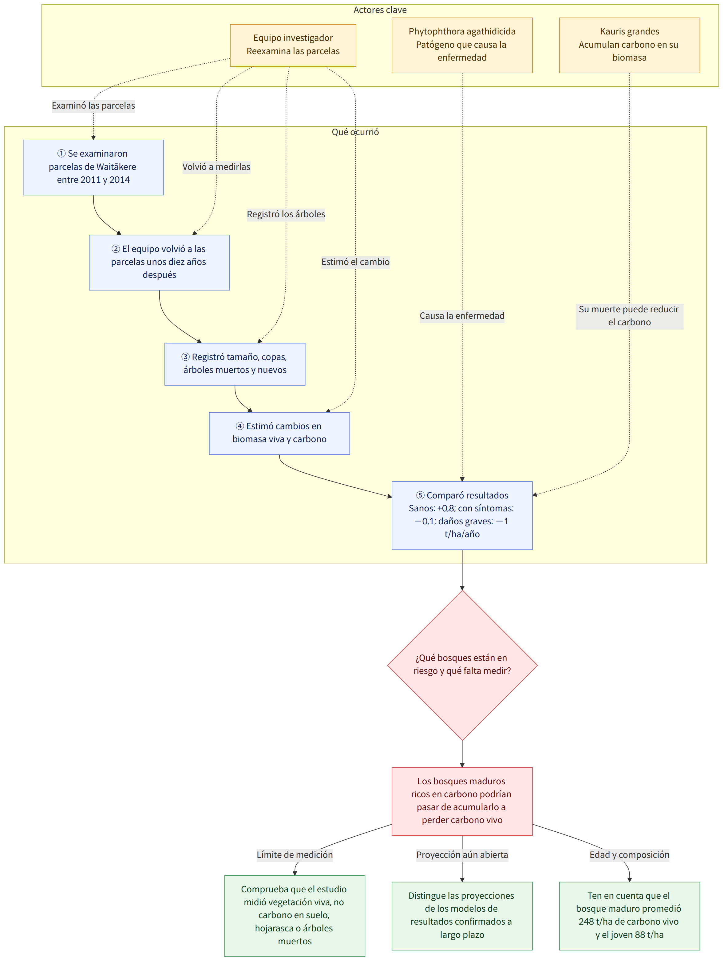 Actores clave → Equipo investigador Reexamina las parcelas → Phytophthora agathidicida Patógeno que causa la enfermedad → Kauris grandes Acumulan carbono en su biomasa → Qué ocurrió → ① Se examinaron parcelas de Waitākere entre 2011 y 2014 → ② El equipo volvió a las parcelas unos diez años después → ③ Registró tamaño, copas, árboles muertos y nuevos → ④ Estimó cambios en biomasa viva y carbono → ⑤ Comparó resultados Sanos: +0,8; con síntomas: −0,1; daños graves: −1 t/ha/año → ¿Qué bosques están en riesgo y qué falta medir? → Los bosques maduros ricos en carbono podrían pasar de acumularlo a perder carbono vivo → Límite de medición → Comprueba que el estudio midió vegetación viva, no carbono en suelo, hojarasca o árboles muertos → Proyección aún abierta → Distingue las proyecciones de los modelos de resultados confirmados a largo plazo → Edad y composición → Ten en cuenta que el bosque m…
