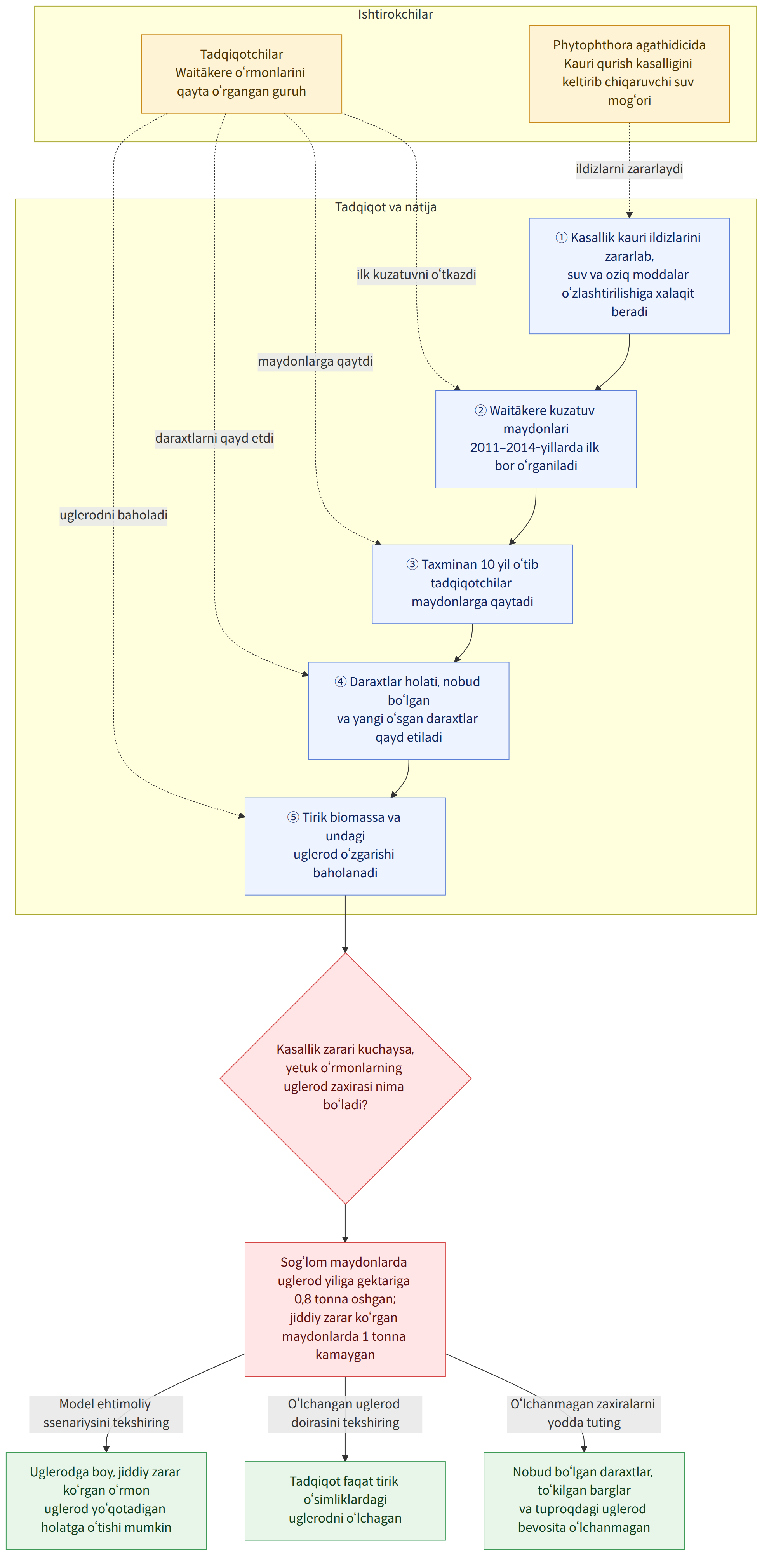 Ishtirokchilar → Phytophthora agathidicida Kauri qurish kasalligini keltirib chiqaruvchi suv mog‘ori → Tadqiqotchilar Waitākere o‘rmonlarini qayta o‘rgangan guruh → Tadqiqot va natija → ① Kasallik kauri ildizlarini zararlab, suv va oziq moddalar o‘zlashtirilishiga xalaqit beradi → ② Waitākere kuzatuv maydonlari 2011–2014-yillarda ilk bor o‘rganiladi → ③ Taxminan 10 yil o‘tib tadqiqotchilar maydonlarga qaytadi → ④ Daraxtlar holati, nobud bo‘lgan va yangi o‘sgan daraxtlar qayd etiladi → ⑤ Tirik biomassa va undagi uglerod o‘zgarishi baholanadi → Kasallik zarari kuchaysa, yetuk o‘rmonlarning uglerod zaxirasi nima bo‘ladi? → Sog‘lom maydonlarda uglerod yiliga gektariga 0,8 tonna oshgan; jiddiy zarar ko‘rgan maydonlarda 1 tonna kamaygan → Model ehtimoliy ssenariysini tekshiring → Uglerodga boy, jiddiy zarar ko‘rgan o‘rmon uglerod yo‘qotadigan holatga o‘tishi mumkin → O‘lchangan uglerod doiras…